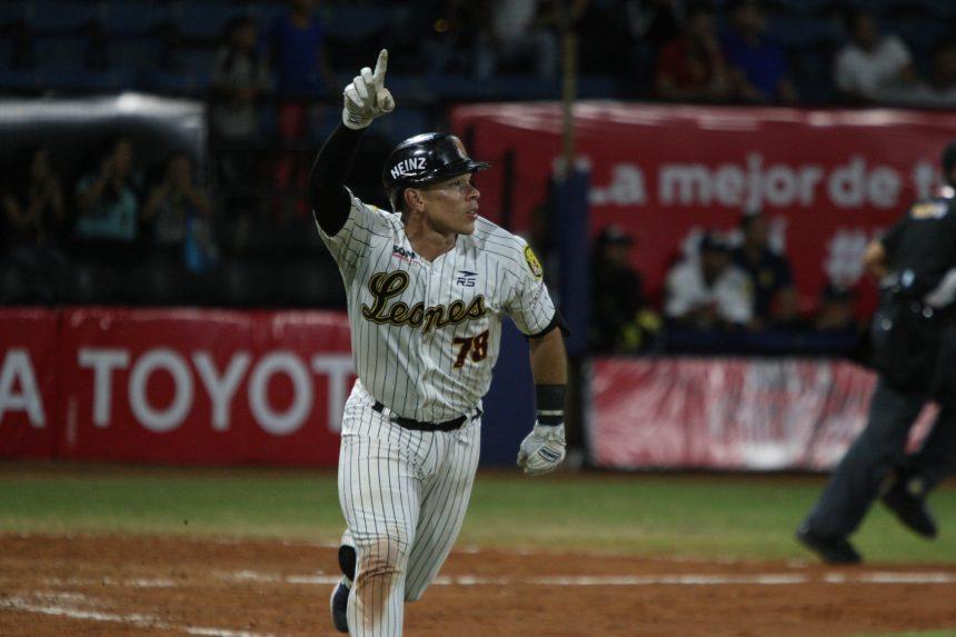 Freddy Fermín de Leones del Caracas completó una temporada regular de ensueño. Más Valioso LVBP