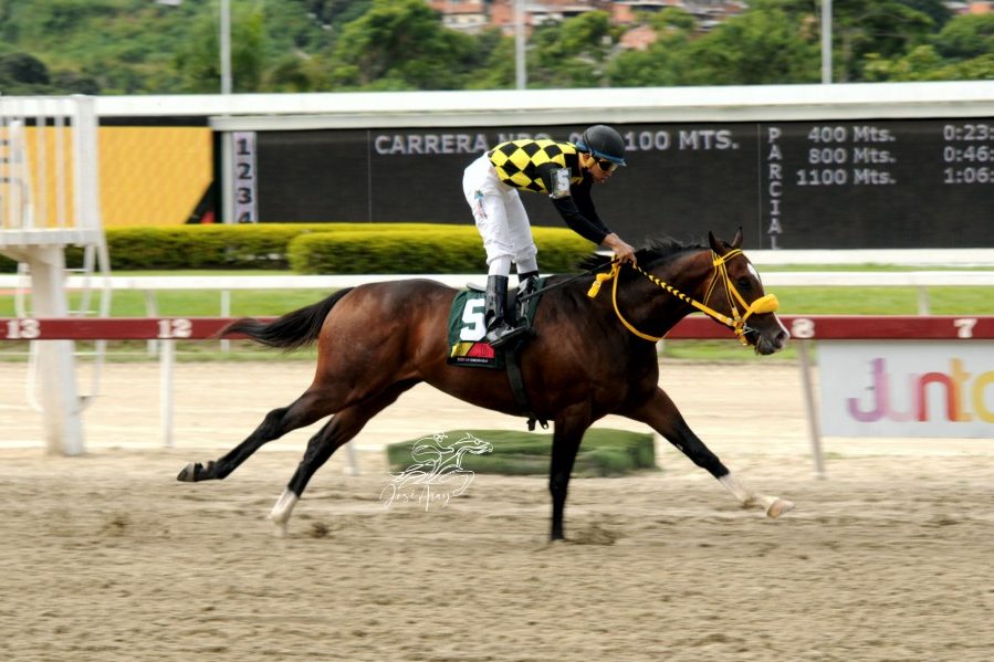 El caballo Bombazo Hipódromo La Rinconada